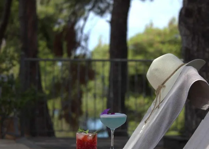 Hotel Evripidis Afytos