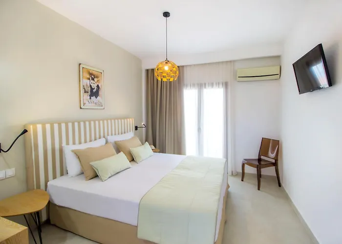 Evripidis Hotel Afytos